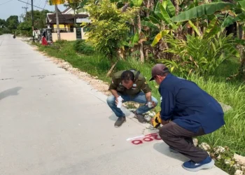 CAMAT SUMBERREJO PERIKSA  BKKD JALAN RIGID BETON DESA PEJAMBON